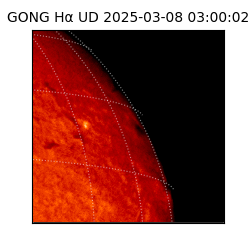 gong - 2025-03-08T03:00:02