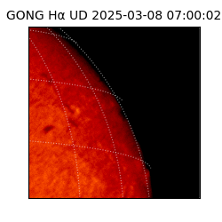 gong - 2025-03-08T07:00:02