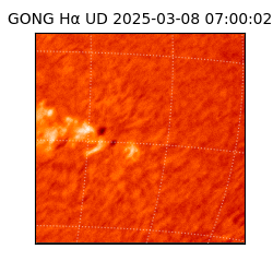 gong - 2025-03-08T07:00:02
