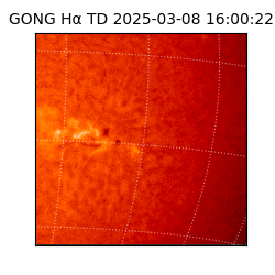 gong - 2025-03-08T16:00:22