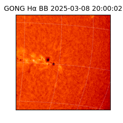 gong - 2025-03-08T20:00:02