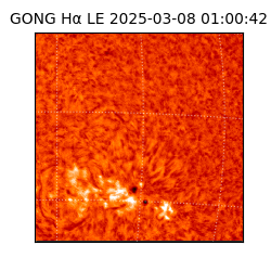 gong - 2025-03-08T01:00:42
