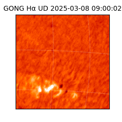 gong - 2025-03-08T09:00:02