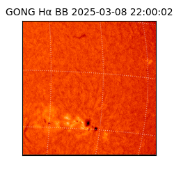 gong - 2025-03-08T22:00:02