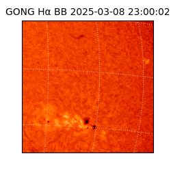 gong - 2025-03-08T23:00:02