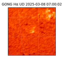 gong - 2025-03-08T07:00:02