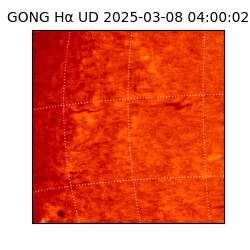gong - 2025-03-08T04:00:02
