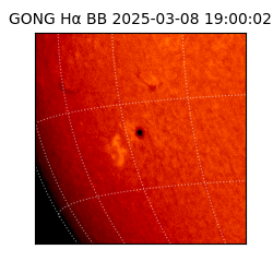 gong - 2025-03-08T19:00:02