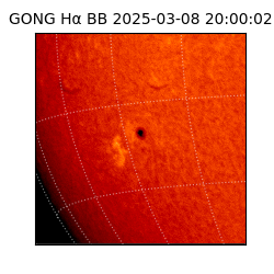 gong - 2025-03-08T20:00:02