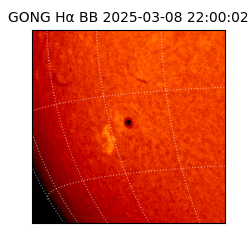 gong - 2025-03-08T22:00:02