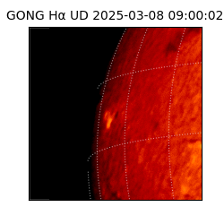 gong - 2025-03-08T09:00:02