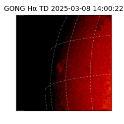gong - 2025-03-08T14:00:22