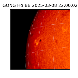 gong - 2025-03-08T22:00:02