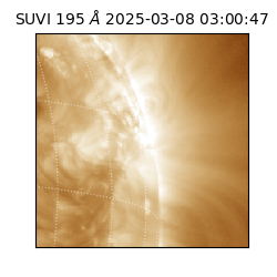 suvi - 2025-03-08T03:00:47.895000