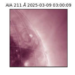 saia - 2025-03-09T03:00:09.629000