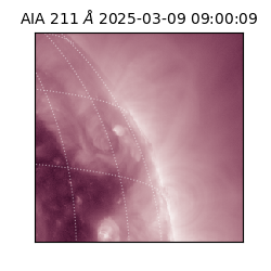 saia - 2025-03-09T09:00:09.626000