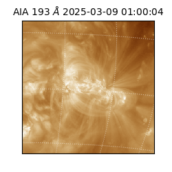 saia - 2025-03-09T01:00:04.843000