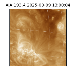 saia - 2025-03-09T13:00:04.847000