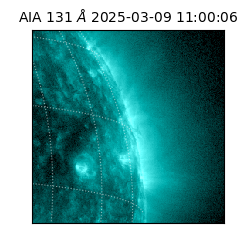 saia - 2025-03-09T11:00:06.616000