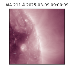 saia - 2025-03-09T09:00:09.626000