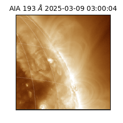 saia - 2025-03-09T03:00:04.843000