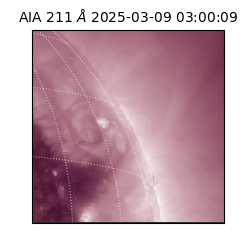 saia - 2025-03-09T03:00:09.629000