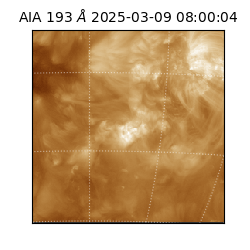 saia - 2025-03-09T08:00:04.846000
