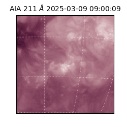 saia - 2025-03-09T09:00:09.626000