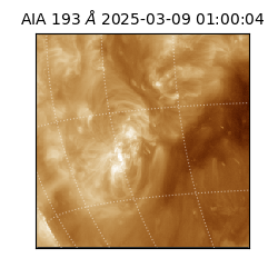 saia - 2025-03-09T01:00:04.843000