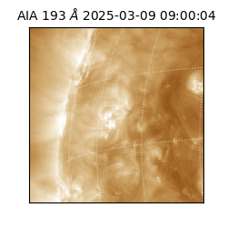 saia - 2025-03-09T09:00:04.846000