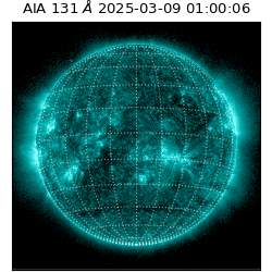 saia - 2025-03-09T01:00:06.622000