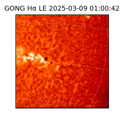 gong - 2025-03-09T01:00:42
