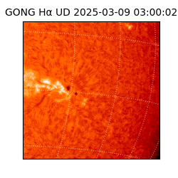 gong - 2025-03-09T03:00:02