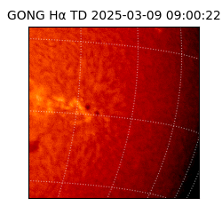gong - 2025-03-09T09:00:22