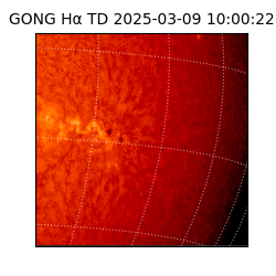 gong - 2025-03-09T10:00:22