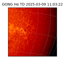 gong - 2025-03-09T11:03:22