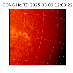 gong - 2025-03-09T12:00:22