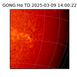 gong - 2025-03-09T14:00:22