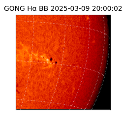 gong - 2025-03-09T20:00:02