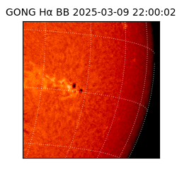 gong - 2025-03-09T22:00:02