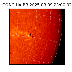 gong - 2025-03-09T23:00:02