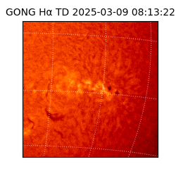 gong - 2025-03-09T08:13:22