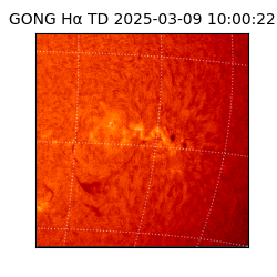 gong - 2025-03-09T10:00:22