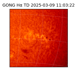 gong - 2025-03-09T11:03:22