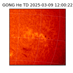 gong - 2025-03-09T12:00:22