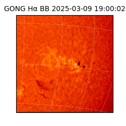 gong - 2025-03-09T19:00:02