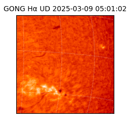 gong - 2025-03-09T05:01:02
