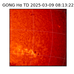 gong - 2025-03-09T08:13:22