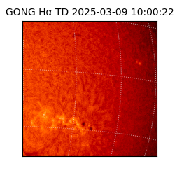 gong - 2025-03-09T10:00:22