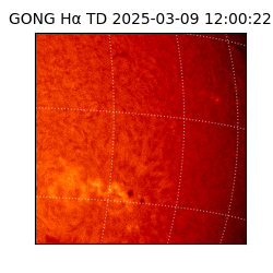 gong - 2025-03-09T12:00:22